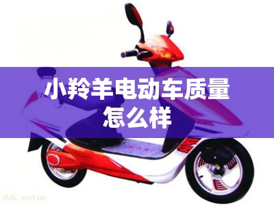 小羚羊电动车质量怎么样（天津小羚羊电动车质量怎么样）
