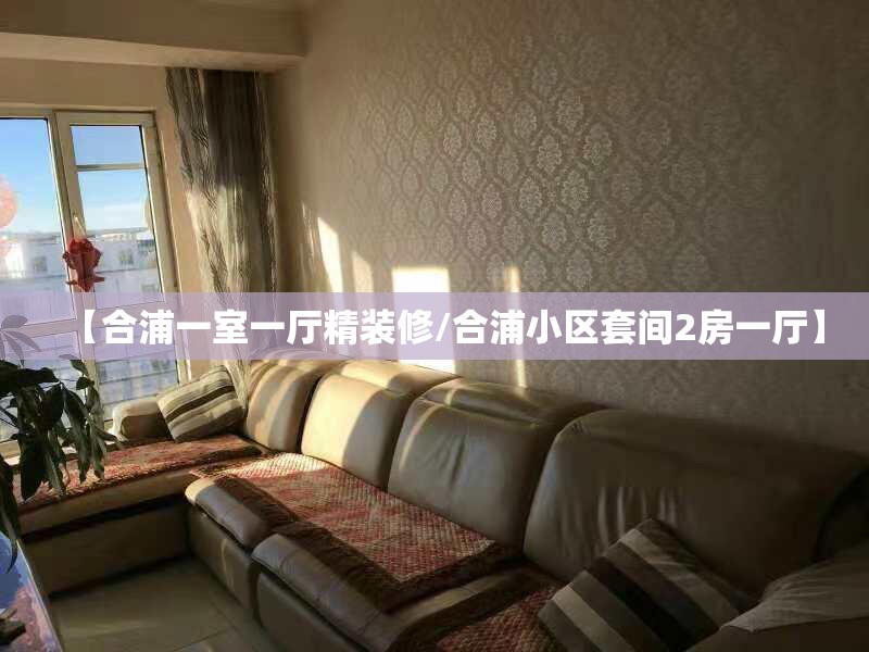 【合浦一室一厅精装修/合浦小区套间2房一厅】