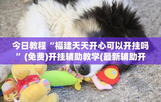 今日教程“福建天天开心可以开挂吗”(免费)开挂辅助教学(最新辅助开挂教程)