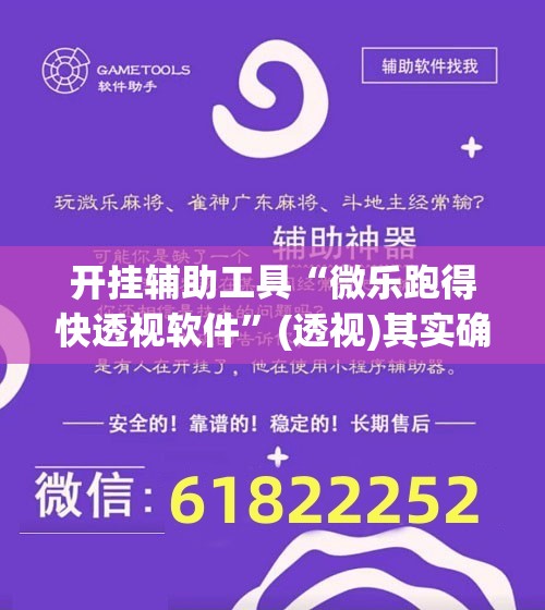 开挂辅助工具“微乐跑得快透视软件”(透视)其实确实有挂