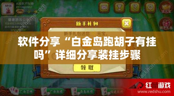 软件分享“白金岛跑胡子有挂吗”详细分享装挂步骤