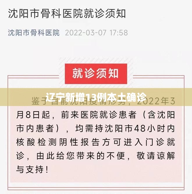 【辽宁新增13例本土确诊,辽宁新增3例本土新冠肺炎确诊病例】 【辽宁新增13例本土确诊,辽宁新增3例本土新冠肺炎确诊病例】