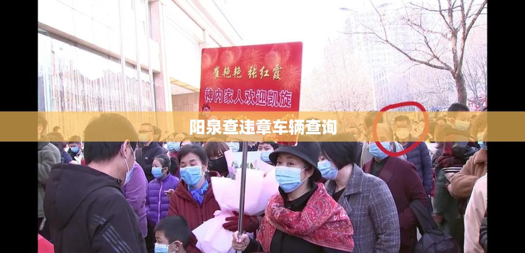 【阳泉查违章车辆查询/阳泉机动车违章查询】 【阳泉查违章车辆查询/阳泉机动车违章查询】