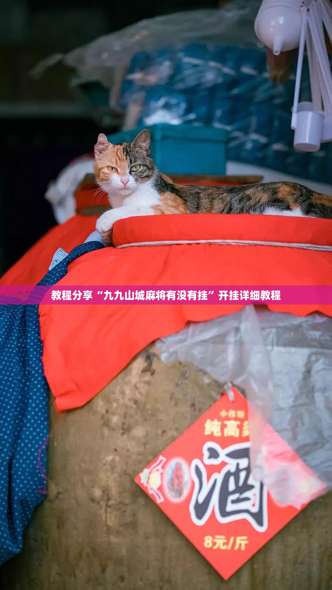 教程分享“九九山城麻将有没有挂”开挂详细教程
