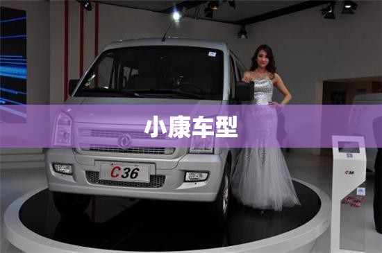 【小康车型,小康汽车是什么品牌】 【小康车型,小康汽车是什么品牌】