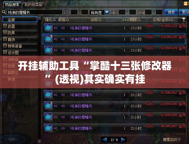 开挂辅助工具“掌酷十三张修改器	”(透视)其实确实有挂