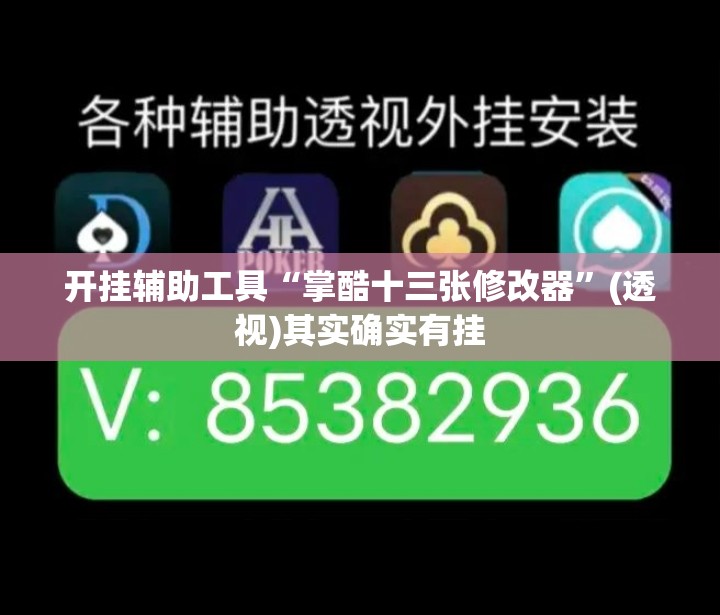 开挂辅助工具“掌酷十三张修改器”(透视)其实确实有挂