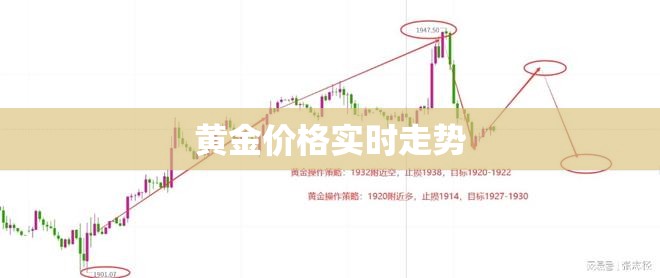 黄金费用实时走势/世界黄金费用实时走势 黄金费用实时走势/世界黄金费用实时走势