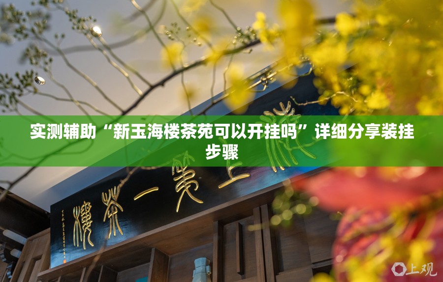 实测辅助“新玉海楼茶苑可以开挂吗”详细分享装挂步骤
