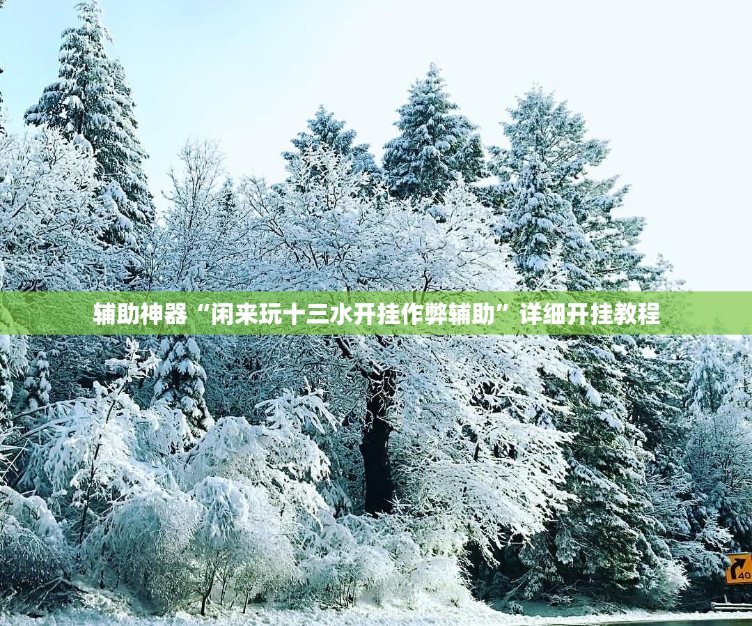 辅助神器“闲来玩十三水开挂作弊辅助	”详细开挂教程