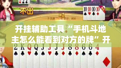 开挂辅助工具“手机斗地主怎么能看到对方的牌”开挂(透视)最新辅助详细