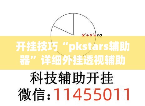 开挂技巧“pkstars辅助器”详细外挂透视辅助软件教程