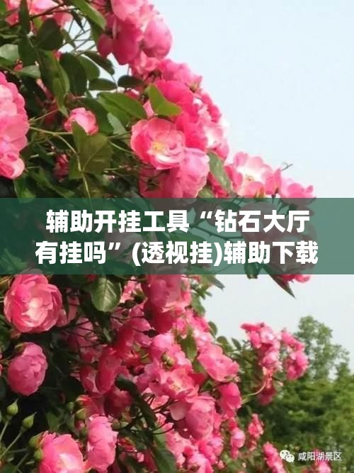 辅助开挂工具“钻石大厅有挂吗	”(透视挂)辅助下载教程