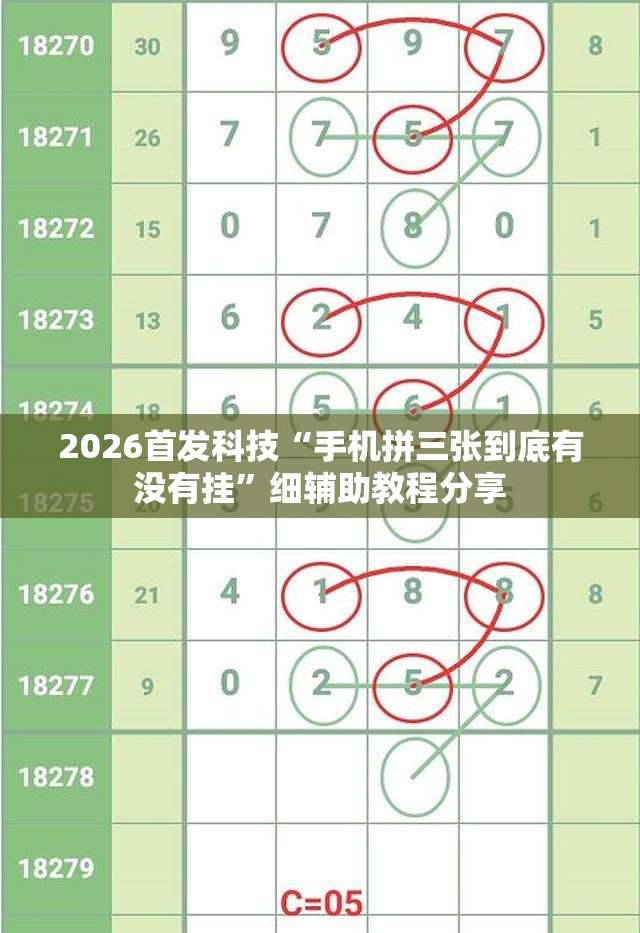 2026首发科技“手机拼三张到底有没有挂”细辅助教程分享