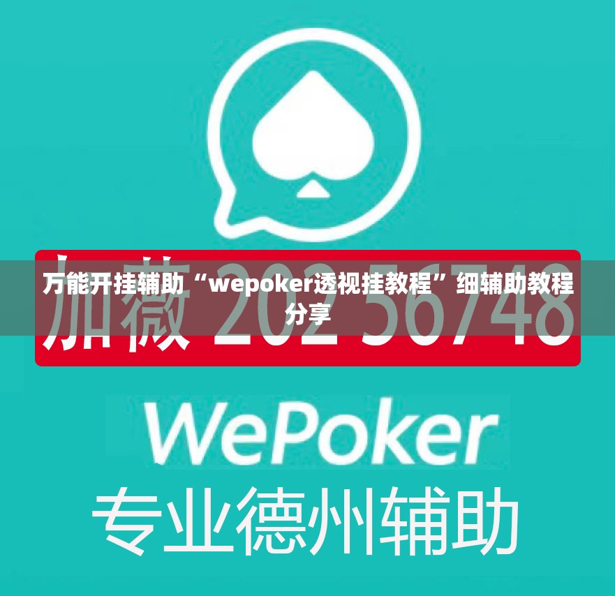 万能开挂辅助“wepoker透视挂教程”细辅助教程分享