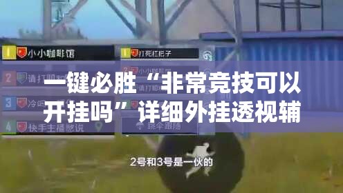 一键必胜“非常竞技可以开挂吗	”详细外挂透视辅助软件教程