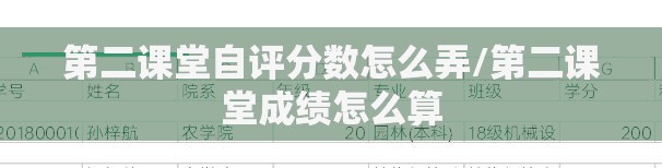 第二课堂自评分数怎么弄/第二课堂成绩怎么算