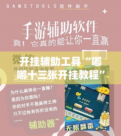 开挂辅助工具“嘟嘟十三张开挂教程	”开挂(透视)最新辅助详细