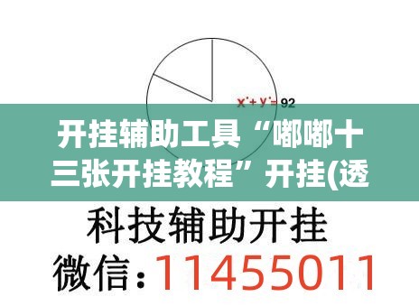 开挂辅助工具“嘟嘟十三张开挂教程”开挂(透视)最新辅助详细