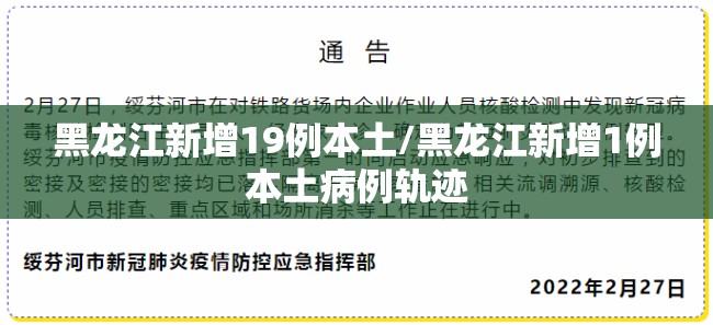 黑龙江新增19例本土/黑龙江新增1例本土病例轨迹