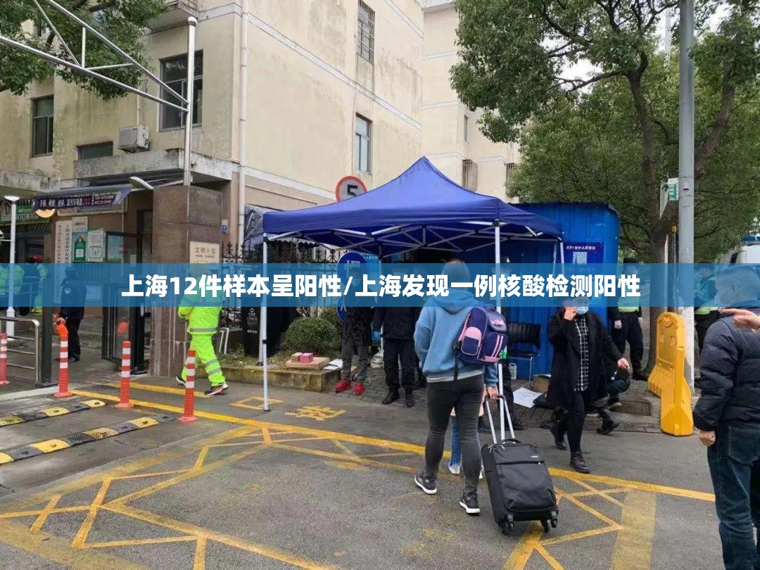 上海12件样本呈阳性/上海发现一例核酸检测阳性
