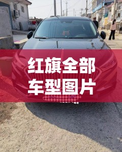 红旗全部车型图片:红旗所有车型图片