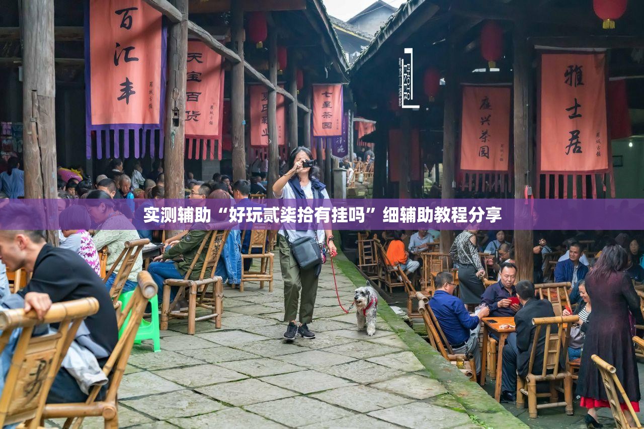 实测辅助“好玩贰柒拾有挂吗”细辅助教程分享