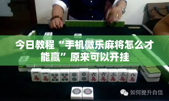今日教程“手机微乐麻将怎么才能赢”原来可以开挂
