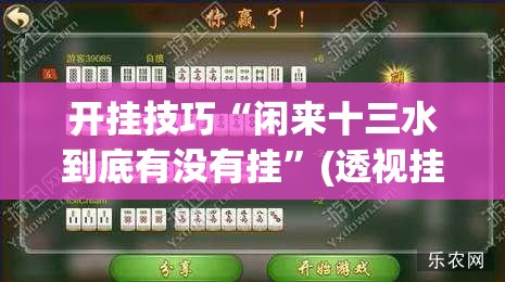 开挂技巧“闲来十三水到底有没有挂”(透视挂)辅助下载教程