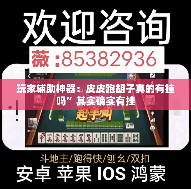 玩家辅助神器：皮皮跑胡子真的有挂吗”其实确实有挂