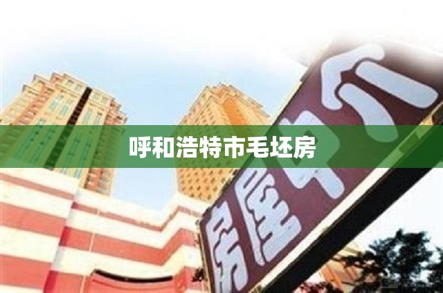 呼和浩特市毛坯房/呼和浩特出售新房 呼和浩特市毛坯房/呼和浩特出售新房