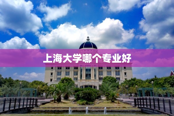 【上海大学哪个专业好,上海大学哪个专业好一点】