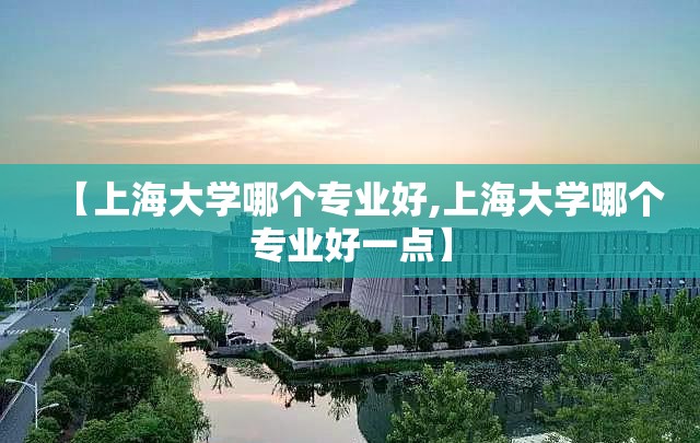 【上海大学哪个专业好,上海大学哪个专业好一点】