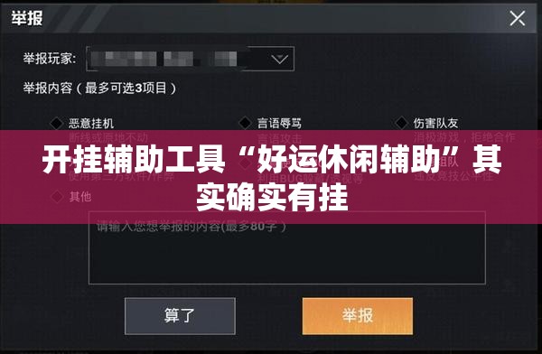 开挂辅助工具“好运休闲辅助	”其实确实有挂