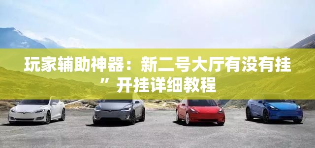 玩家辅助神器：新二号大厅有没有挂”开挂详细教程