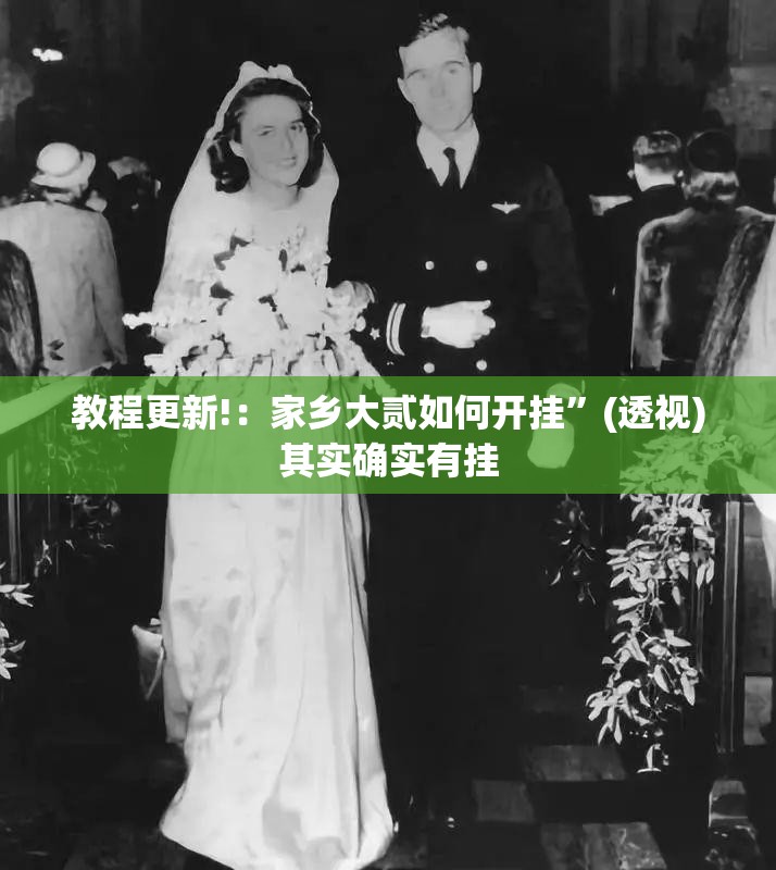 教程更新!：家乡大贰如何开挂”(透视)其实确实有挂