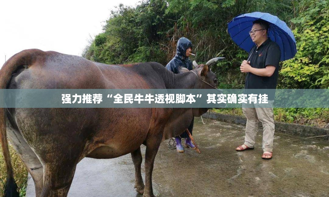 强力推荐“全民牛牛透视脚本”其实确实有挂