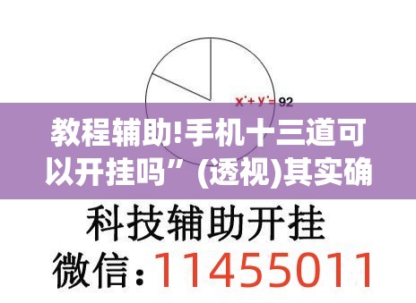 教程辅助!手机十三道可以开挂吗	”(透视)其实确实有挂