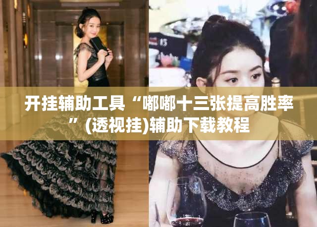 开挂辅助工具“嘟嘟十三张提高胜率”(透视挂)辅助下载教程