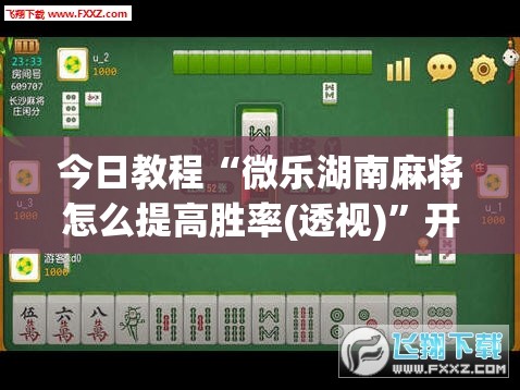 今日教程“微乐湖南麻将怎么提高胜率(透视)”开挂辅助脚本+详细开挂安装教程