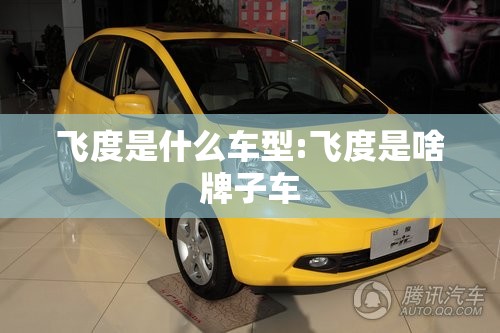 飞度是什么车型:飞度是啥牌子车