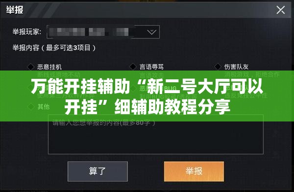 万能开挂辅助“新二号大厅可以开挂”细辅助教程分享