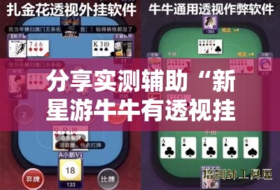 分享实测辅助“新星游牛牛有透视挂吗”开挂详细教程