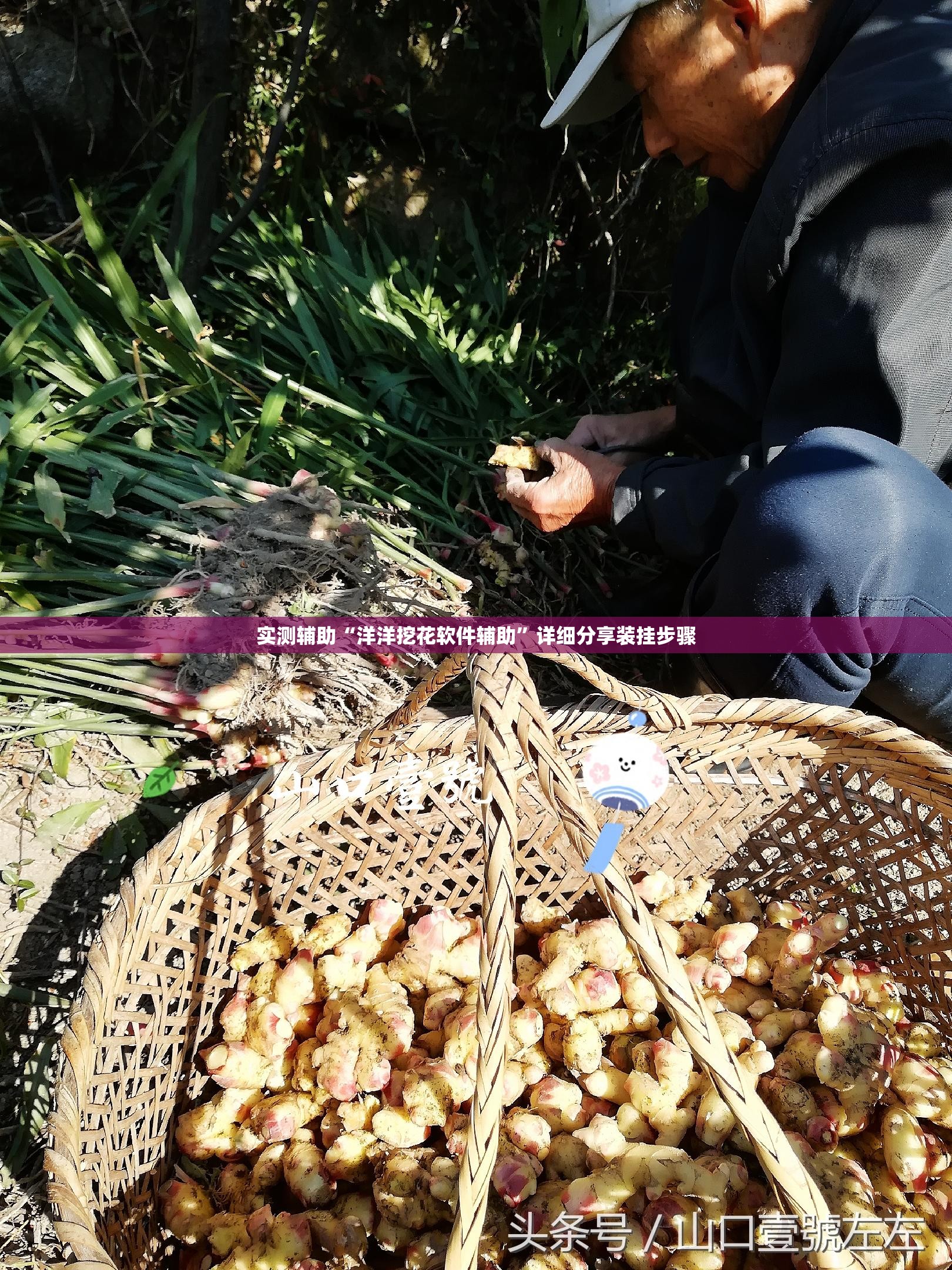 实测辅助“洋洋挖花软件辅助”详细分享装挂步骤