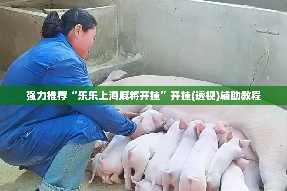 强力推荐“乐乐上海麻将开挂”开挂(透视)辅助教程