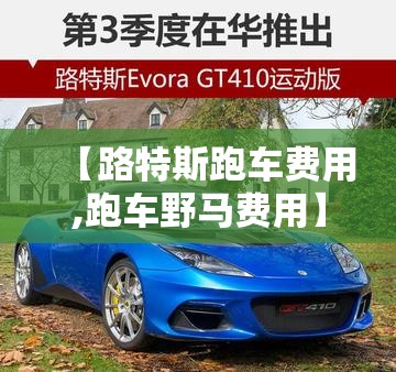 【路特斯跑车费用,跑车野马费用】