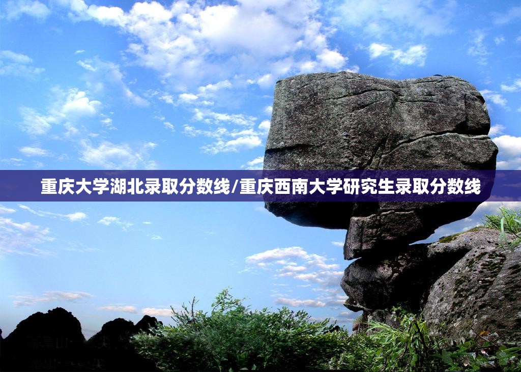 重庆大学湖北录取分数线/重庆西南大学研究生录取分数线 重庆大学湖北录取分数线/重庆西南大学研究生录取分数线