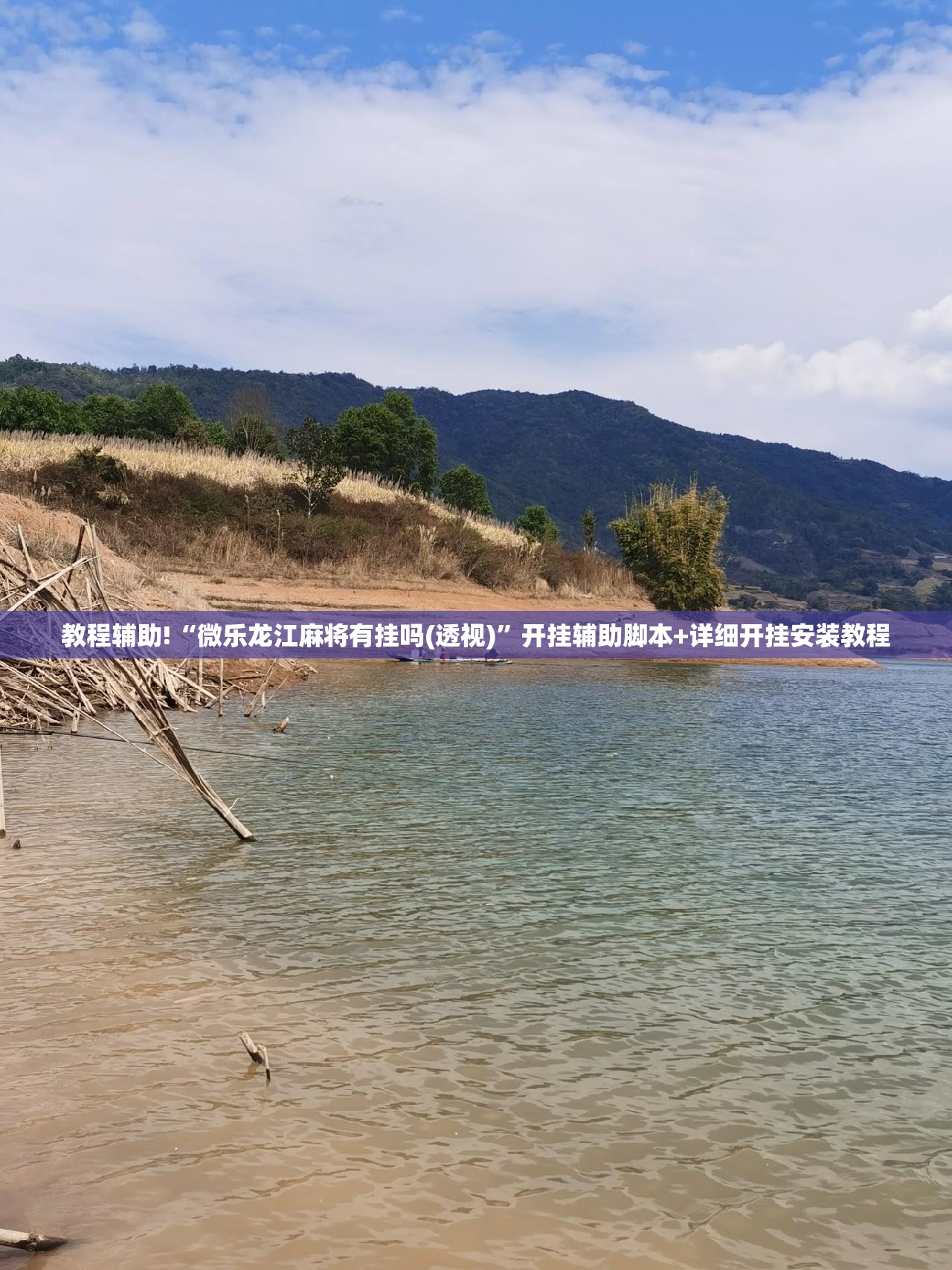 教程辅助!“微乐龙江麻将有挂吗(透视)”开挂辅助脚本+详细开挂安装教程