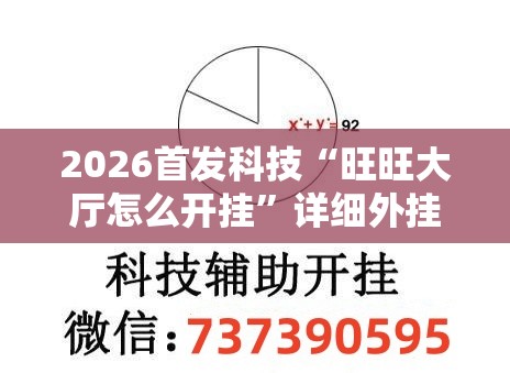 2026首发科技“旺旺大厅怎么开挂	”详细外挂透视辅助软件教程