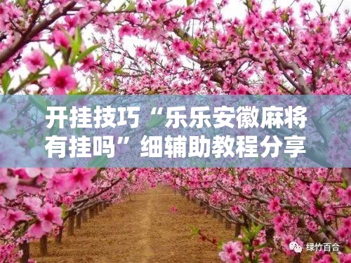 开挂技巧“乐乐安徽麻将有挂吗	”细辅助教程分享